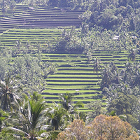 Photo de Bali - Banjar et Gitgit